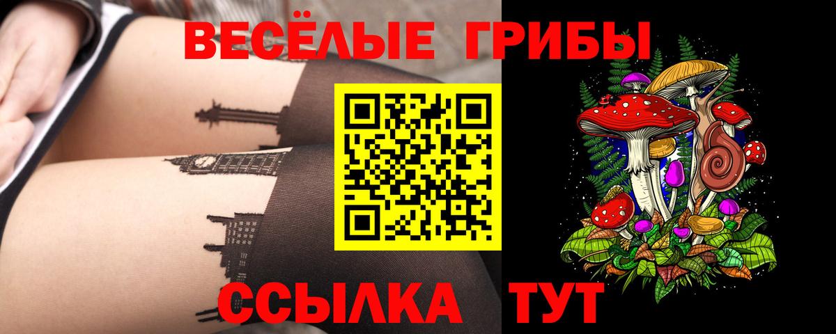 Галлюциногенные грибы мухоморы  Псилоцибиновые грибы GOLDEN TEACHER  Вход с VPN  магазин  наркотиков  Бузулук 